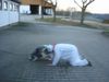 fasnacht07_44.jpg
