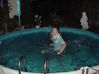 sommer03_446.jpg