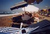 Dateiname : kreta03_424.jpg
Dateigröße : 24KB
Abmessungen : 399x277
hinzugefügt am : 25.April 2007 kreta03_424.jpg