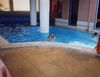 Dateiname : kreta03_435.jpg
Dateigröße : 23KB
Abmessungen : 399x309
hinzugefügt am : 25.April 2007 kreta03_435.jpg